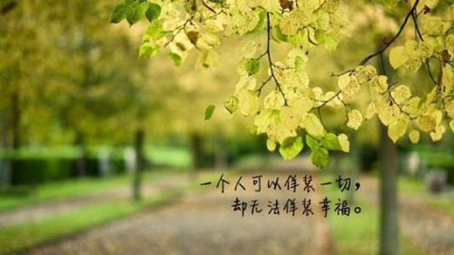 梦见学位