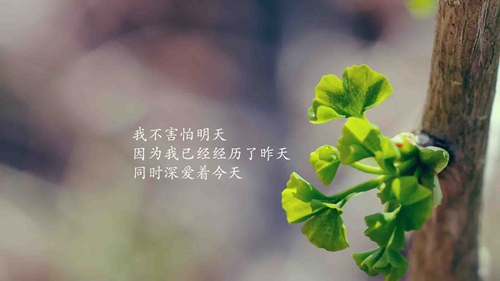 梦见数字是什么意思