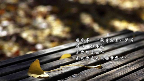 梦见花椰菜是什么意思