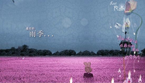 梦见买芹菜是什么意思